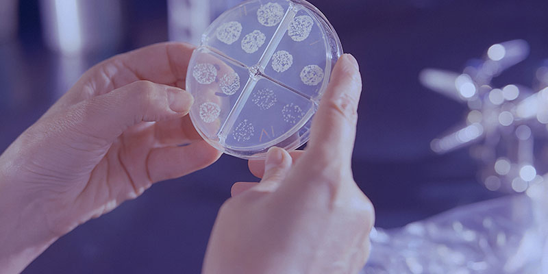 Antibiotikaresistens koster allerede nu menneskeliv