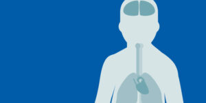 Hvad er dynamiske effekter?