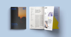 med. EU: På vej mod parlamentet