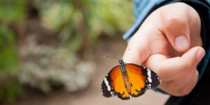 Særdeles positivt med permanent løft af psykiatrien 