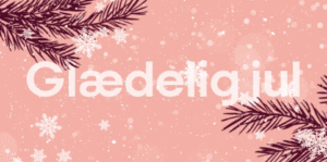 Tak for et begivenhedsrigt år og rigtig glædelig jul